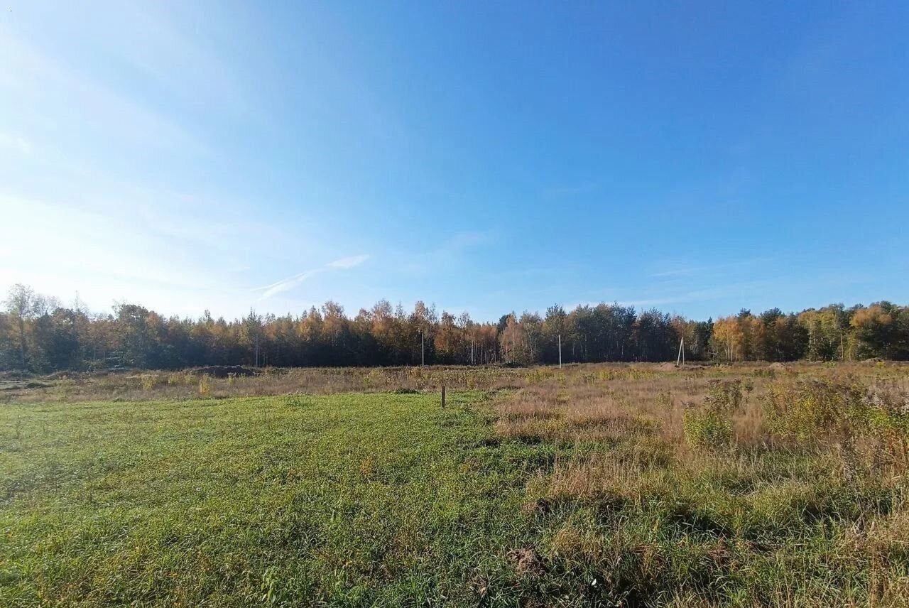 земля городской округ Дмитровский д Степаново 9763 км, Электросталь, Носовихинское шоссе фото 34