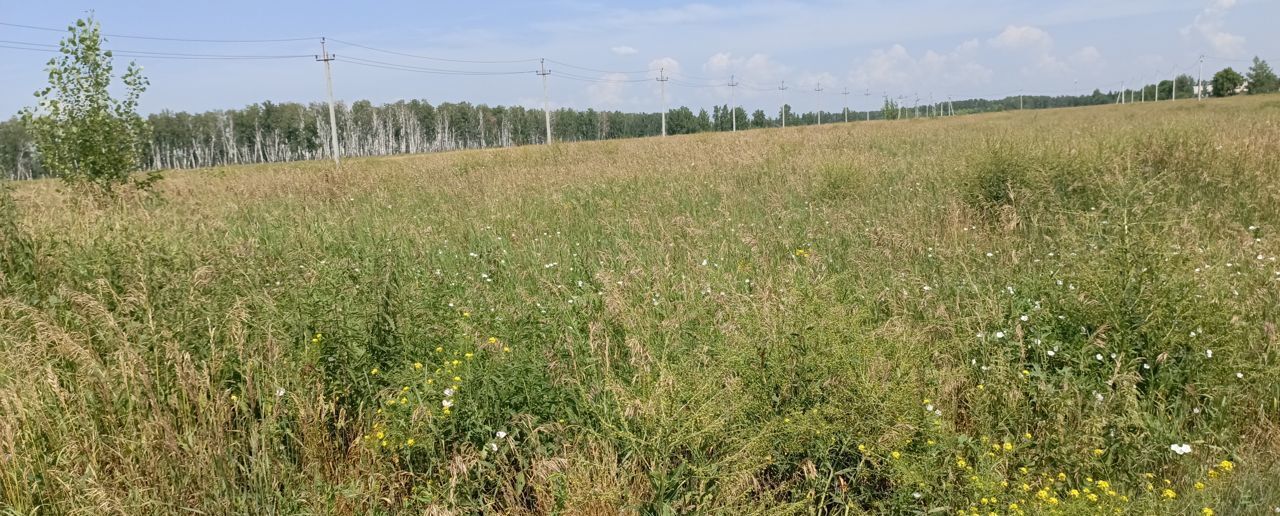 земля р-н Омский с Красная Горка Дружинское сельское поселение, Омск фото 6