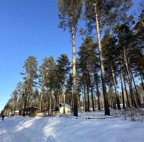 земля Ушаковское муниципальное образование, проезд Нижний фото