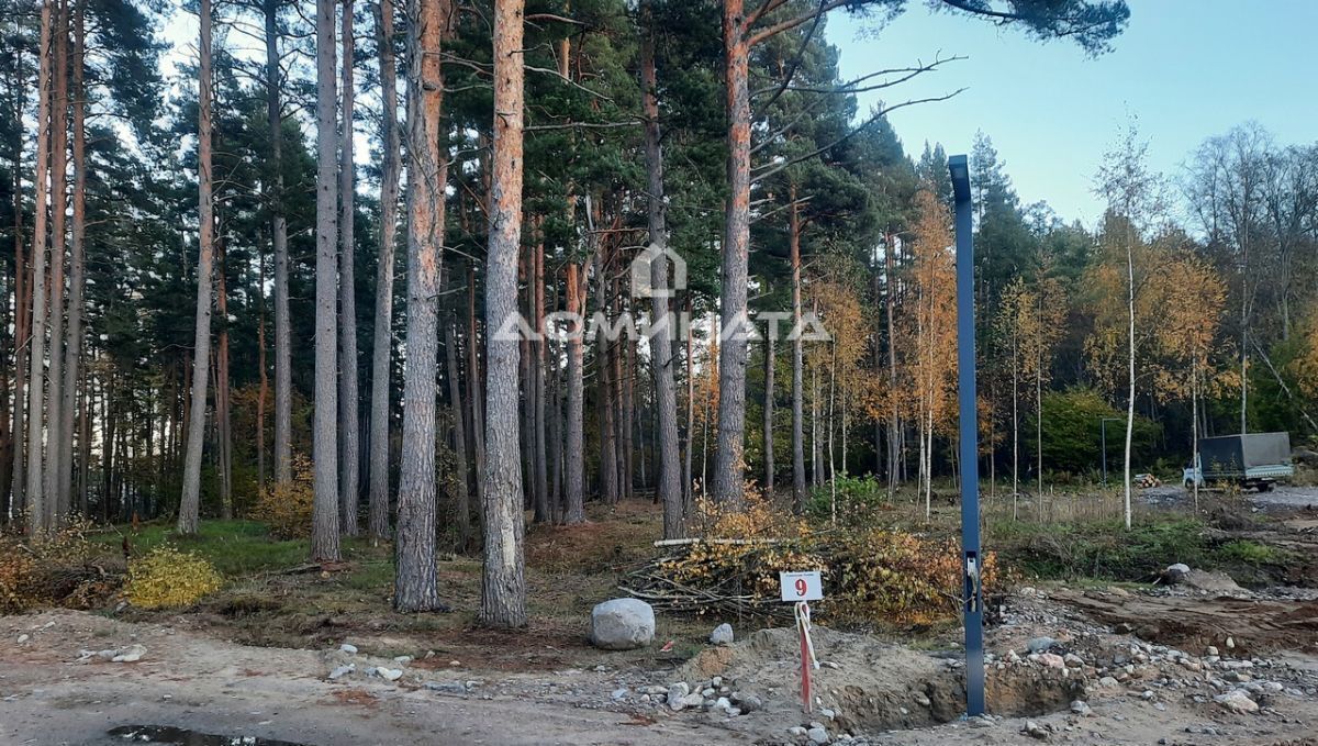 земля р-н Приозерский п Саперное Трасса Сортавала, 66 км, Петровское сельское поселение, коттеджный пос. Суходольские усадьбы фото 5