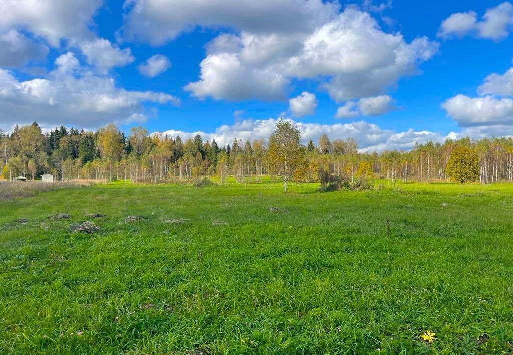 земля городской округ Наро-Фоминский д Настасьино 9786 км, Наро-Фоминск, Киевское шоссе фото 8