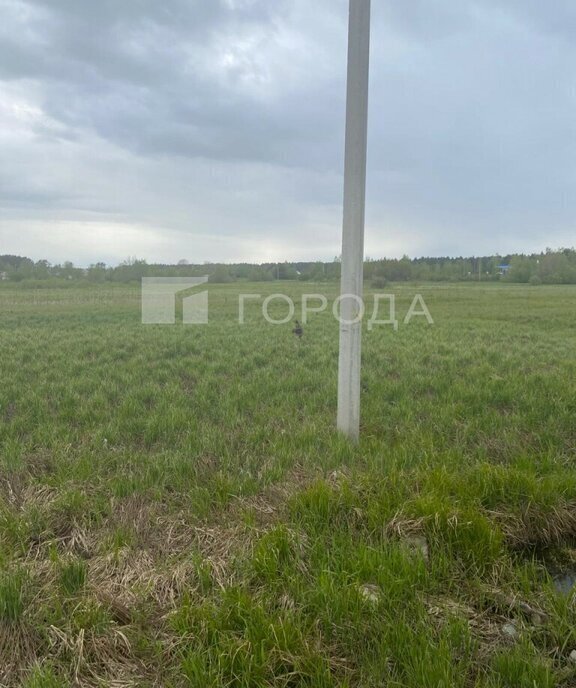 земля городской округ Богородский зона Черновские Дворы фото 2