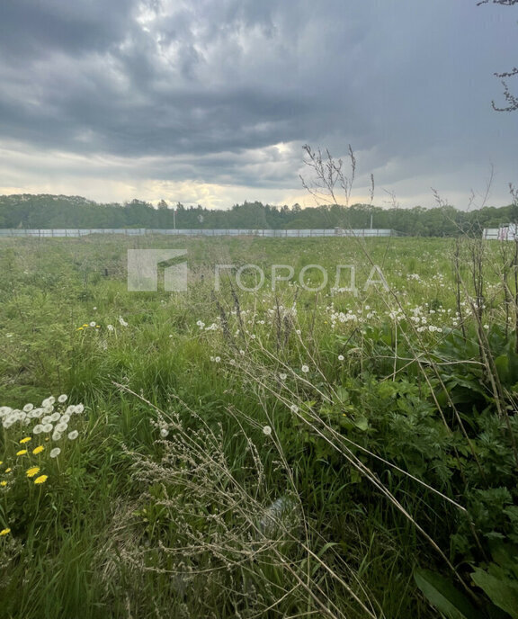 земля городской округ Наро-Фоминский д Кромино ул Нижняя Апрелевка фото 3