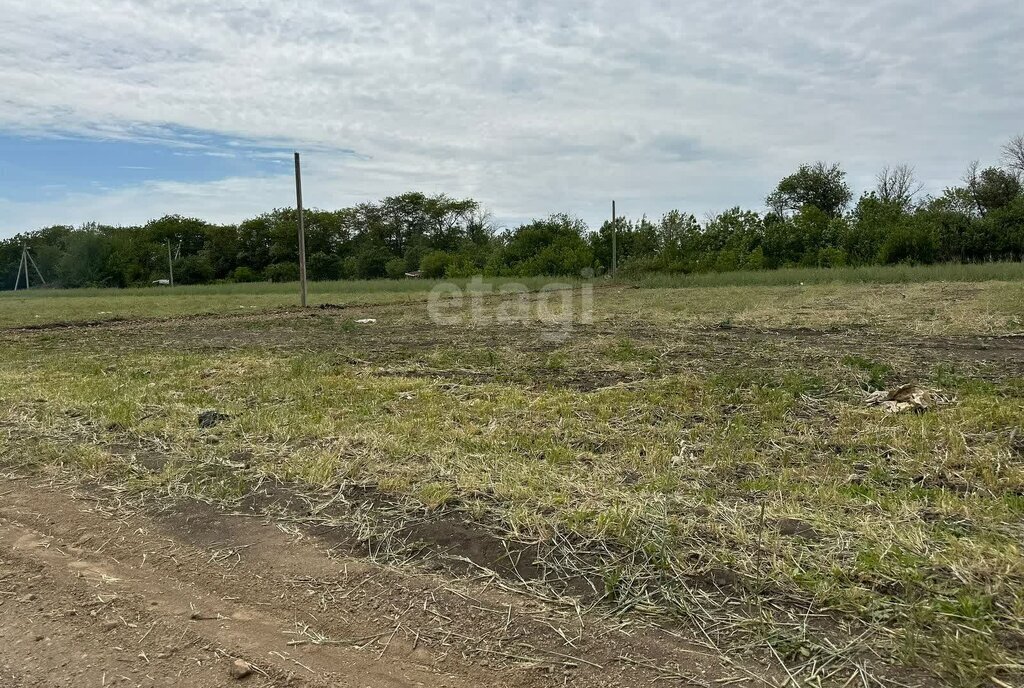 земля р-н Неклиновский с Новобессергеневка ул Севастопольская фото 1