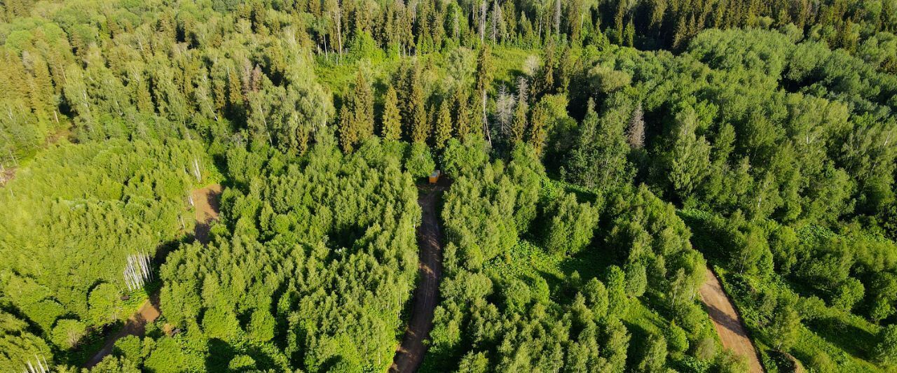 земля г Балашиха кв-л Изумрудный 1, Дмитровский городской округ фото 4