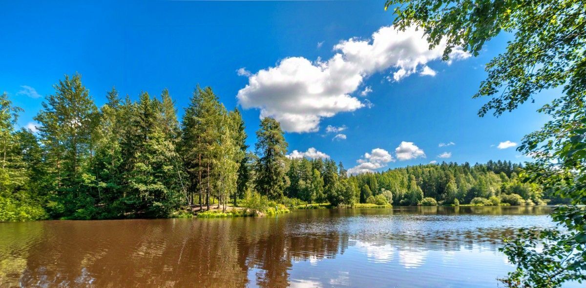 земля р-н Всеволожский Лесколовское с/пос, Кавголовские Холмы кп, Девяткино, 16 фото 16