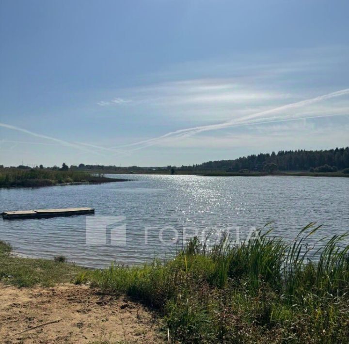 дом городской округ Наро-Фоминский Парус дп фото 23