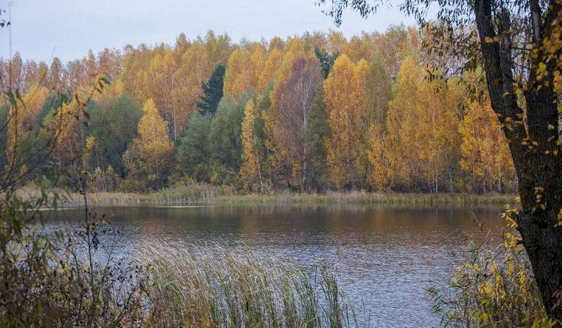 земля р-н Зеленодольский с Большие Кургузи Большекургузинское сельское поселение, Казань фото 14