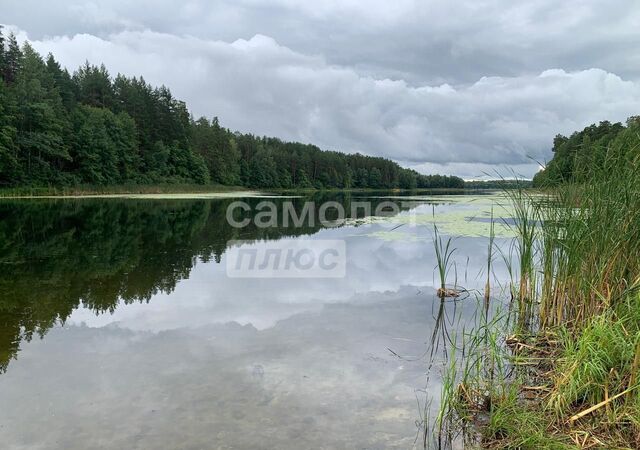 п Яльчикский Обшиярское сельское поселение, Центральная ул, Приволжский фото