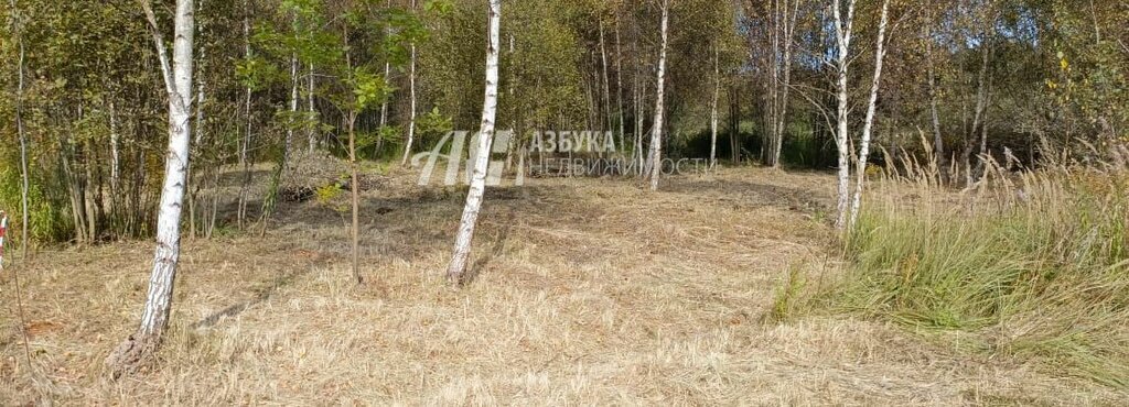 земля г Домодедово п государственного племенного завода "Константиново" коттеджный посёлок Юсупово Вилладж, Подольск фото 1