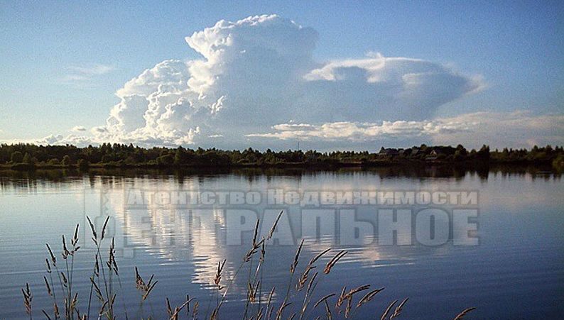 земля г Смоленск р-н Заднепровский тер садоводческое товарищество "Свет" Подснежник фото 2