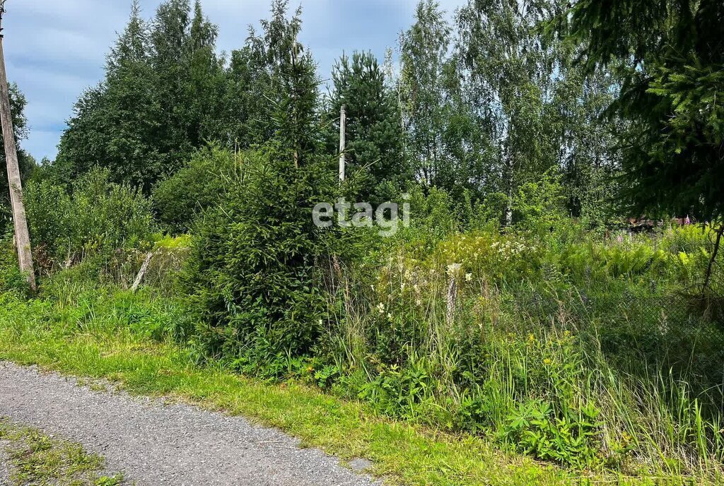 земля р-н Выборгский п Лебяжье Рощинское городское поселение фото 2