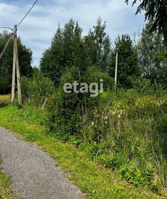 земля р-н Выборгский п Лебяжье Рощинское городское поселение фото 3