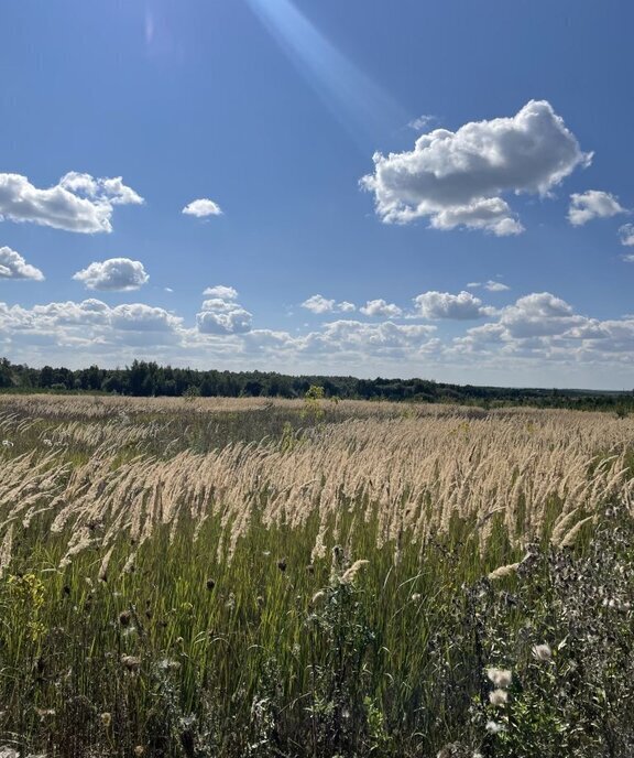 земля р-н Богородский д Пантелеево фото 2