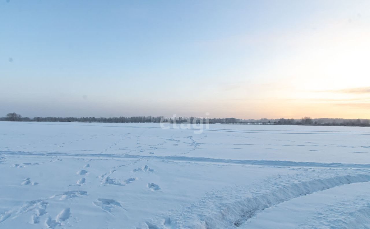 земля р-н Тюменский д Криводанова Каскара фото 16