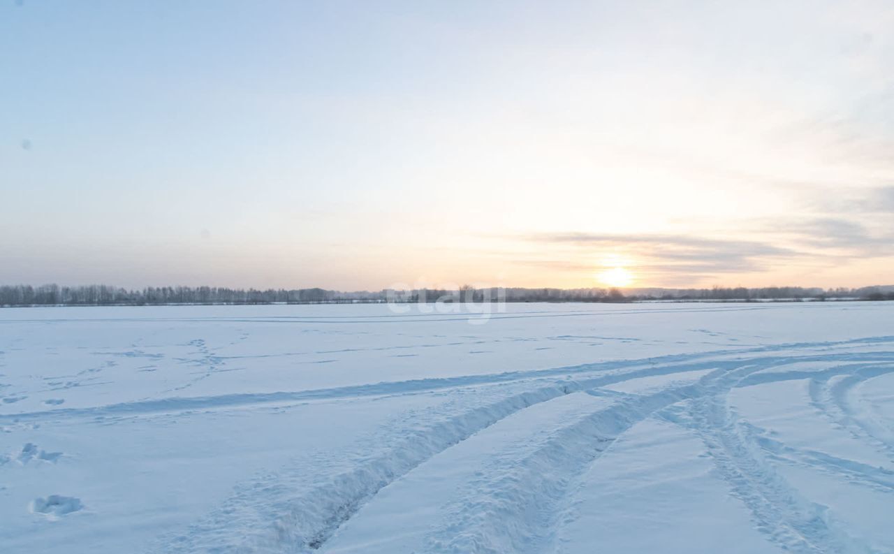 земля р-н Тюменский д Криводанова Каскара фото 18