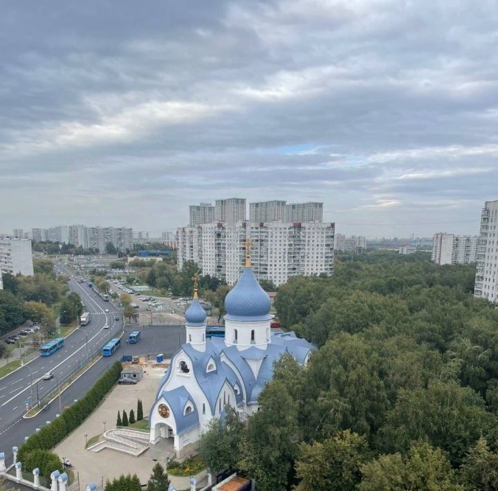 квартира г Москва метро Зябликово ул Ясеневая 36/2 фото 17