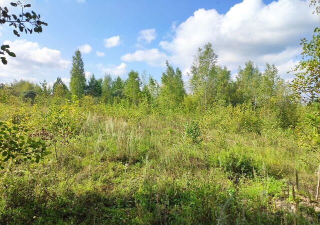 снт тер.Сосенка Усадское сельское поселение, Высокая Гора фото