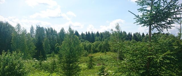 земля Лесницыно кп, Московская область, Истра городской округ фото