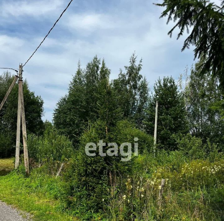 земля р-н Ломоносовский Лебяженское городское поселение, Авиатор ТЛПХ фото 4