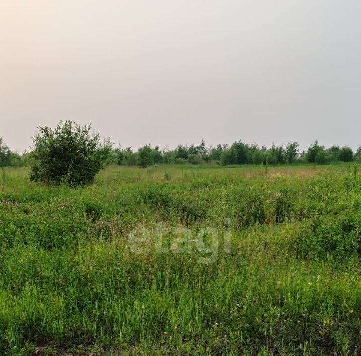 земля р-н Хабаровский с Краснореченское Николаевский кв-л фото 3