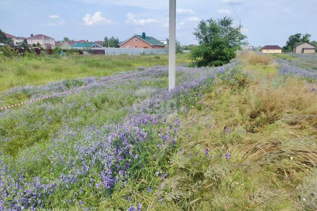 ул Западная фото