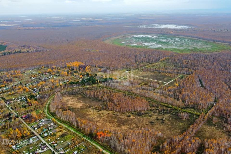 земля р-н Нижнетавдинский село Тюнево фото 6