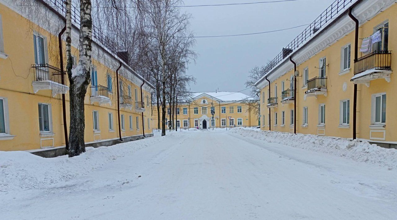 квартира р-н Всеволожский п Дубровка ул Пионерская 4 Дубровское городское поселение, Рыбацкое фото 21