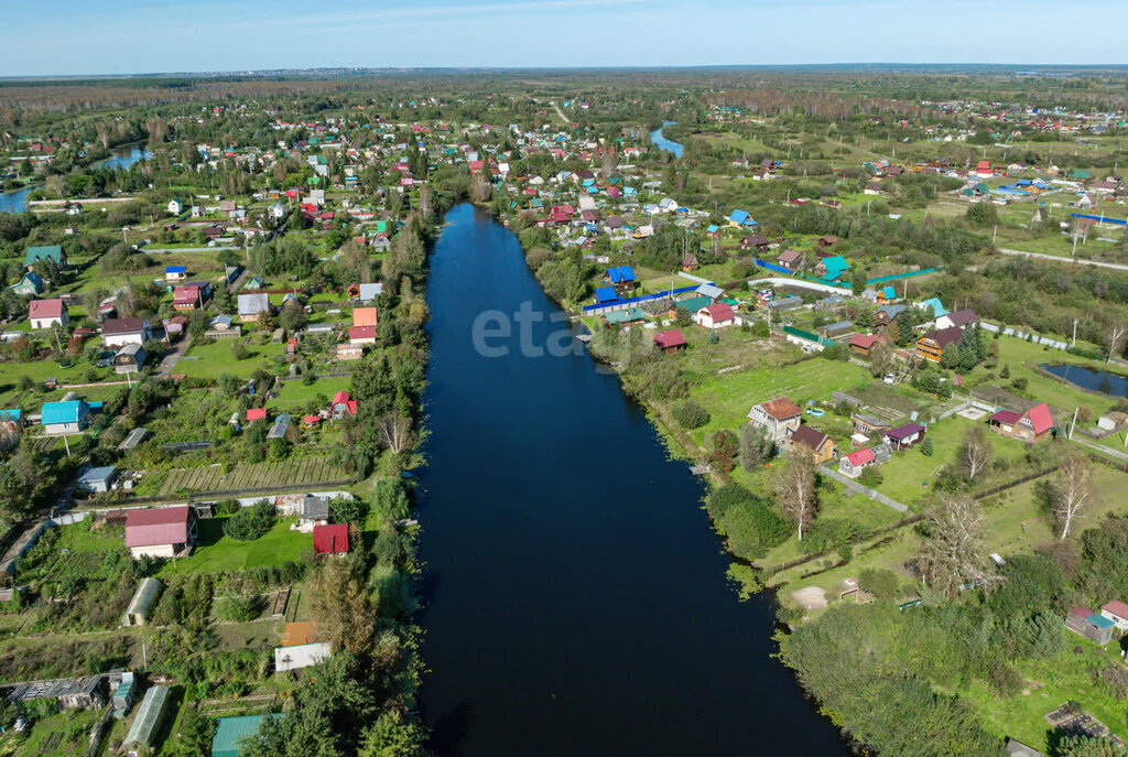 земля р-н Колыванский НСТ Проектировщик фото 6