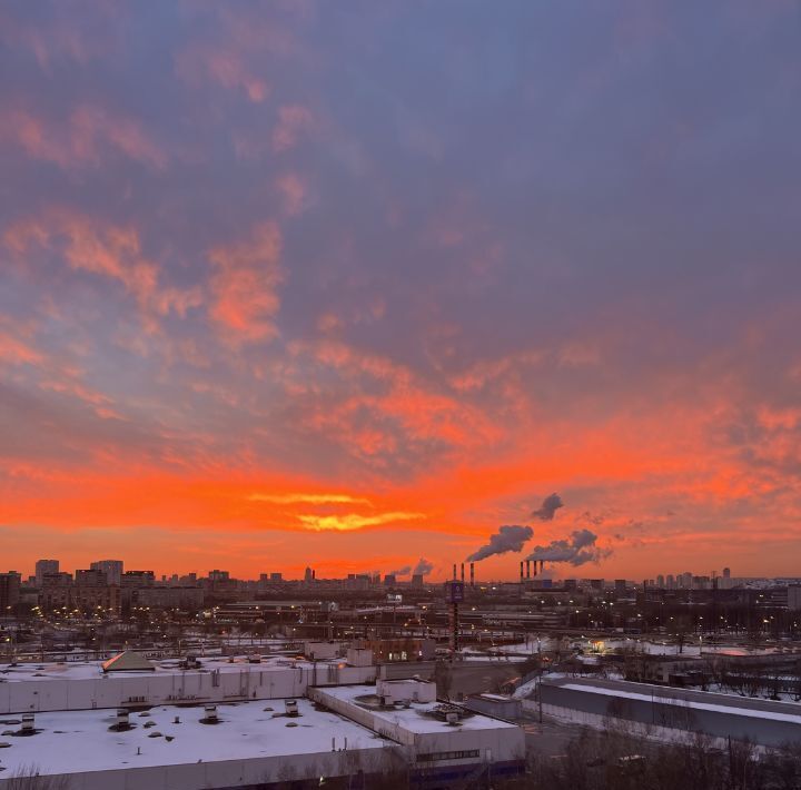 квартира г Москва метро Лианозово ул Псковская 10к/1 фото 12