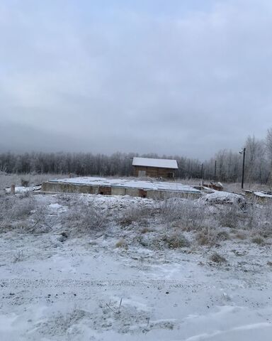 р-н Кольский пгт Кильдинстрой тер ДНТ Медведь Молочный фото