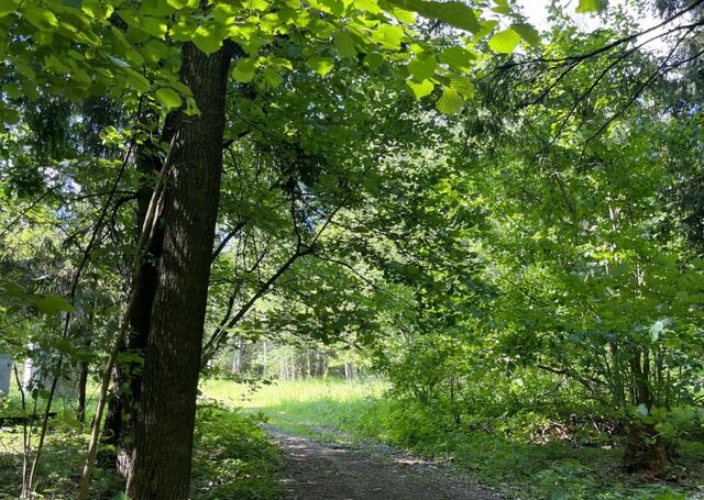 городской округ Химки, территориальное управление Лунёвское фото