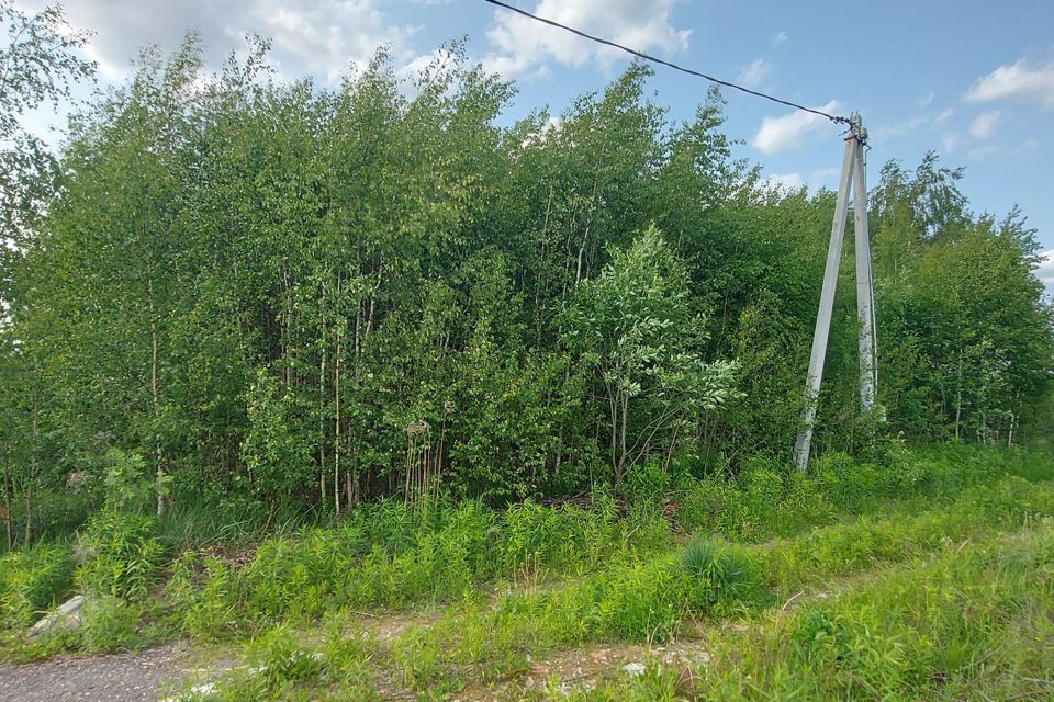 земля городской округ Павловский Посад дачное некоммерческое партнёрство Логиново фото 4