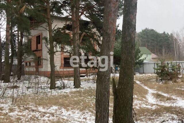 Сосновоборский городской округ, Набережная улица фото