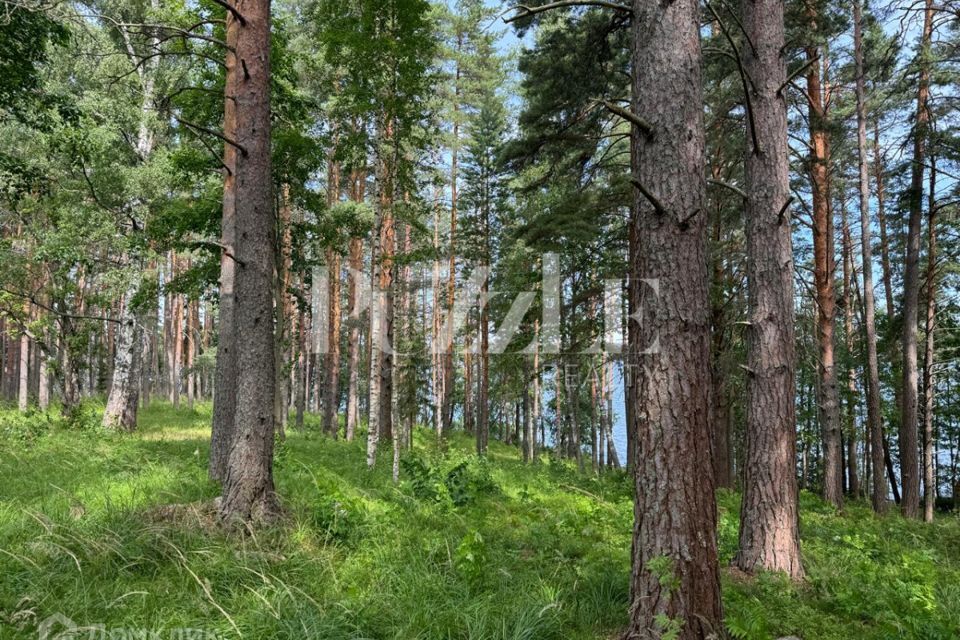 земля р-н Приозерский фото 1