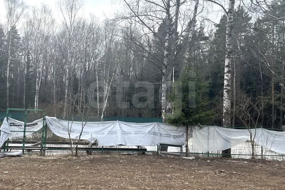 земля городской округ Одинцовский СНТ Жаворонки-Север фото 6