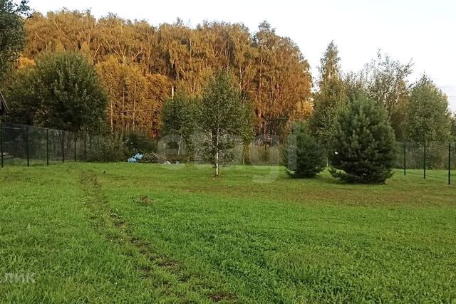 ПКИЗ Синьковский фото