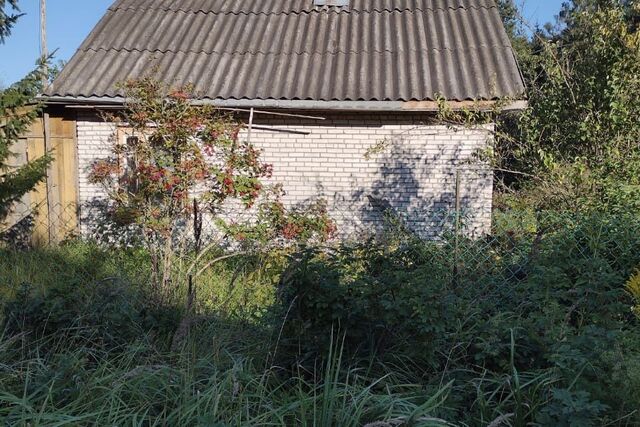 садовое товарищество Синявино-2, СНТ Синявинское фото