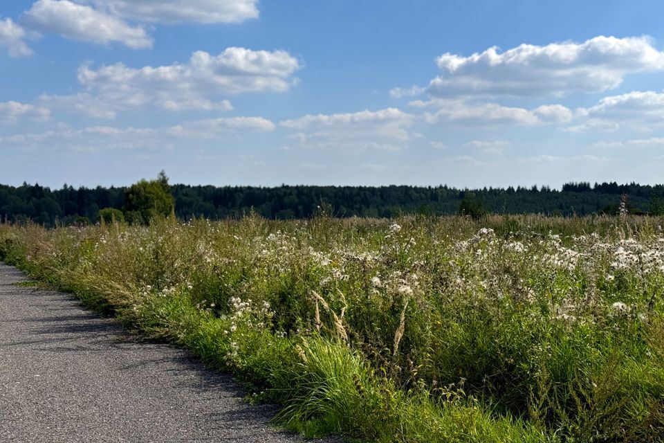 земля городской округ Дмитровский фото 1