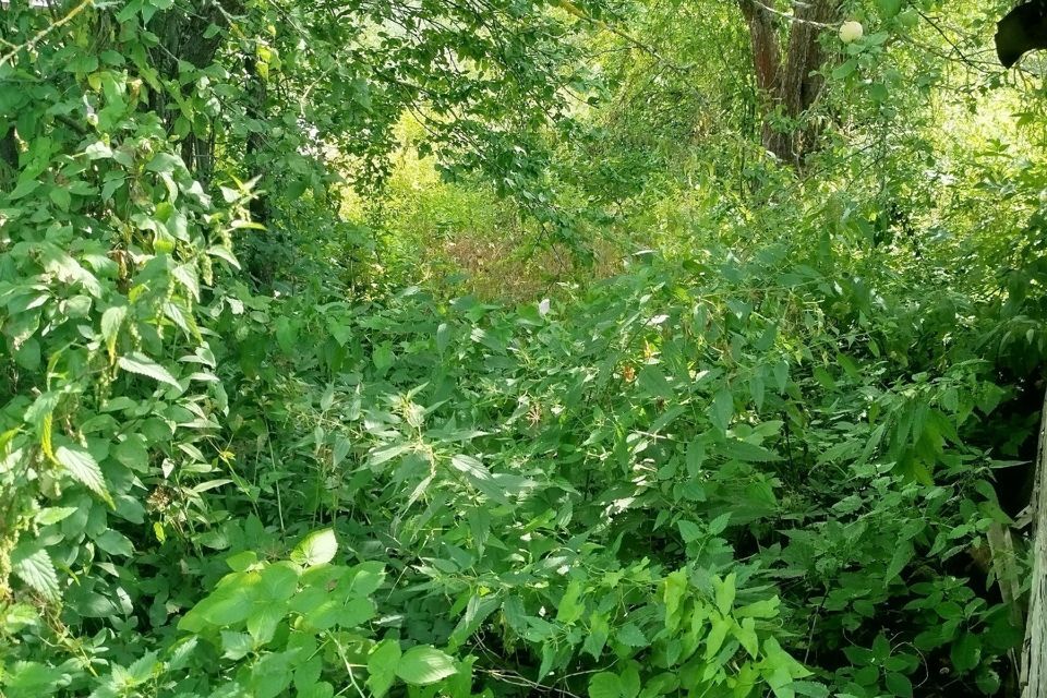 дом г Орехово-Зуево ул Огородная 68 Орехово-Зуевский городской округ фото 4