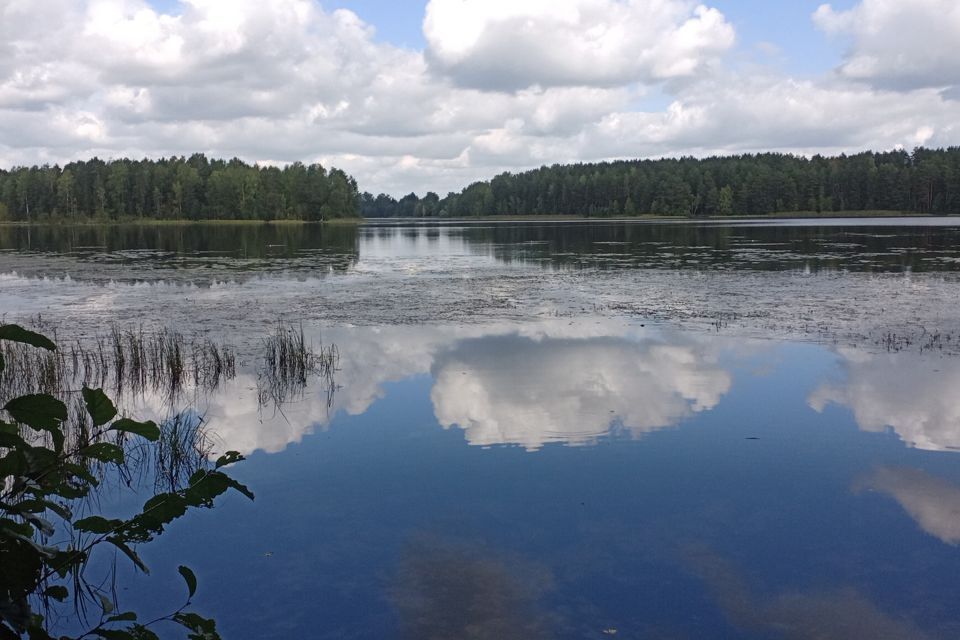 дом р-н Всеволожский СНТ Русские Самоцветы фото 2