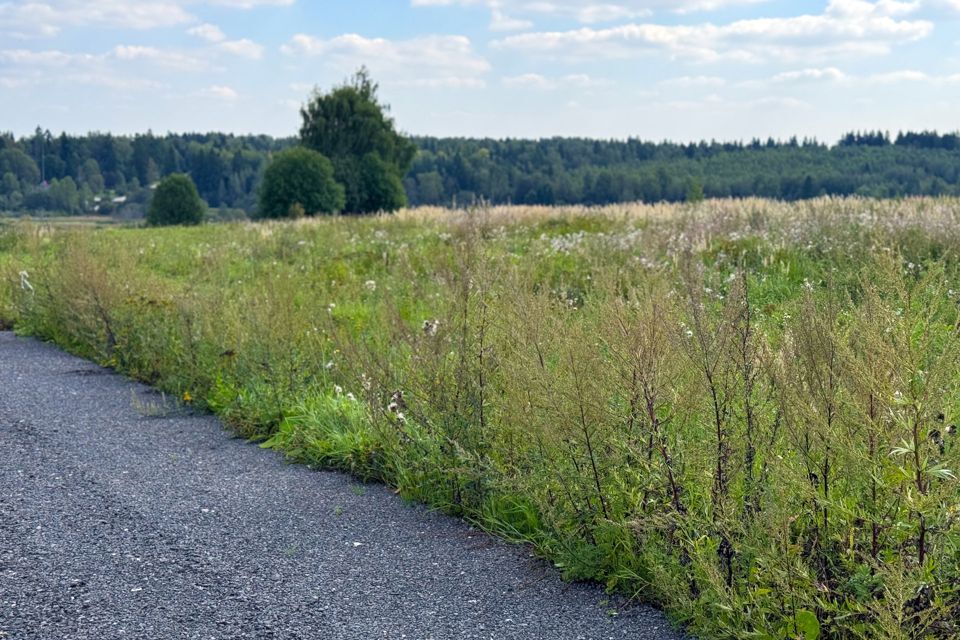 земля городской округ Дмитровский фото 4