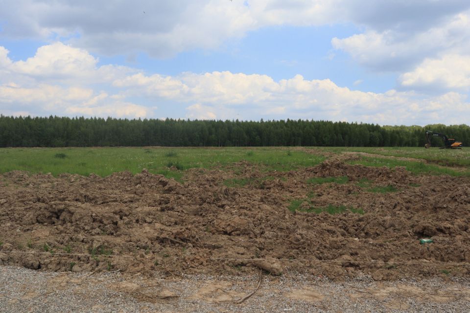 земля городской округ Раменский деревня Васильево фото 3