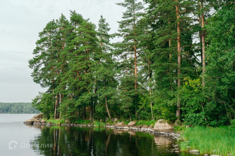 земля р-н Выборгский фото 2