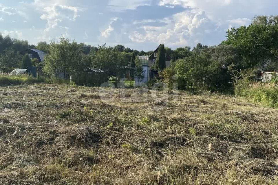 земля городской округ Чехов деревня Солодовка фото 8