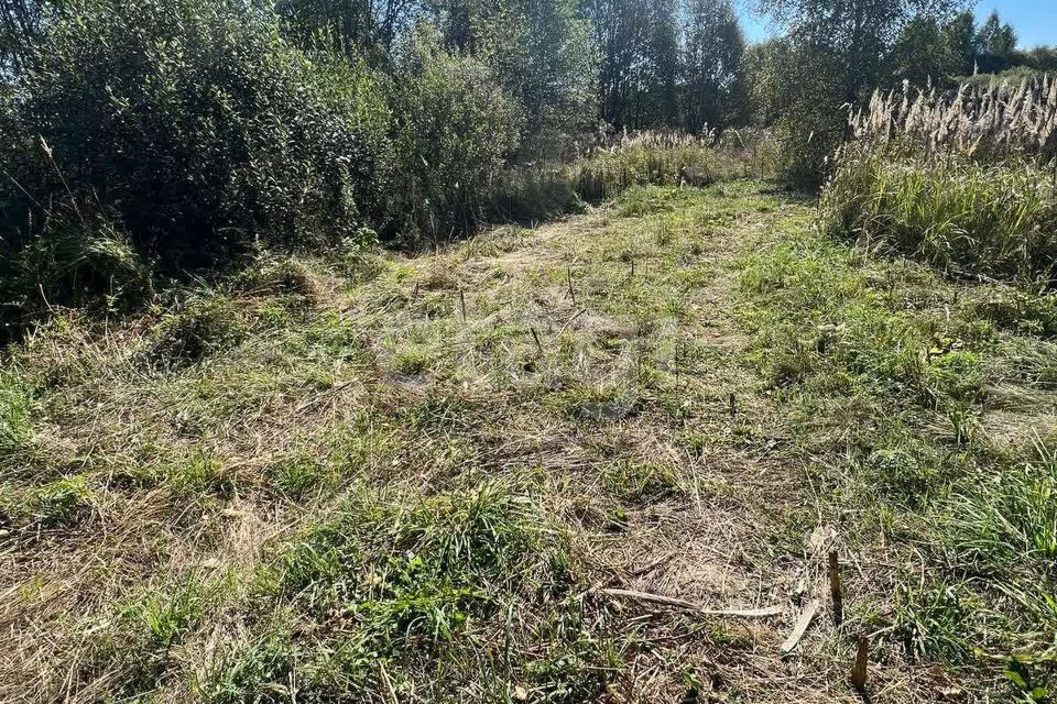 земля городской округ Чехов Новое Филипповское фото 6