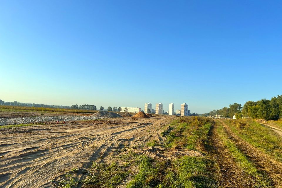 земля городской округ Пушкинский с Братовщина ул Ленинская 10 фото 7