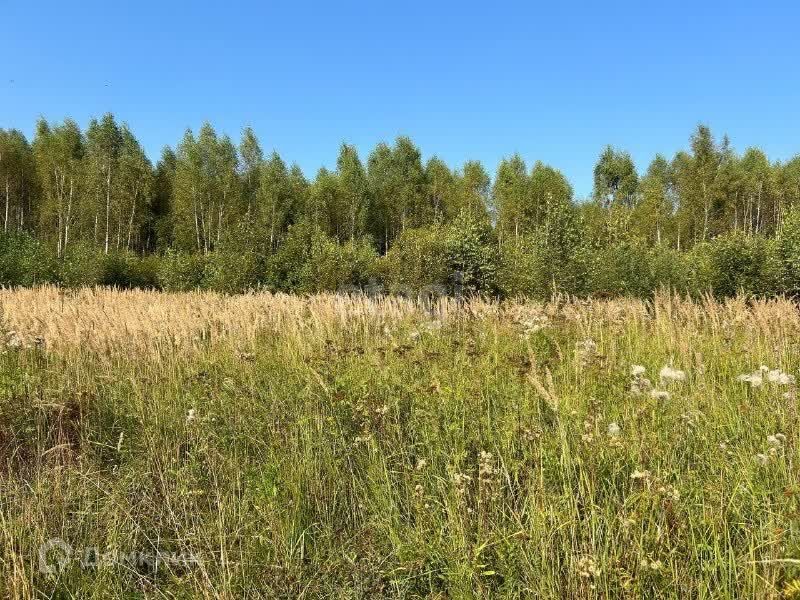 земля городской округ Серпухов ДНТ Лисенки фото 5