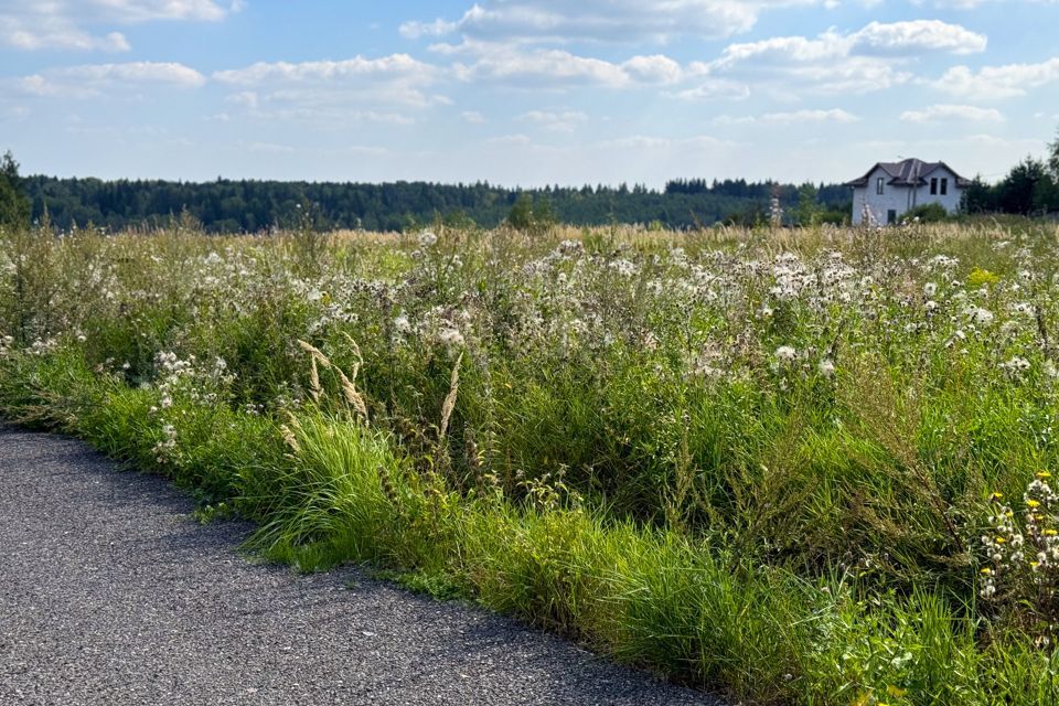 земля городской округ Дмитровский фото 7