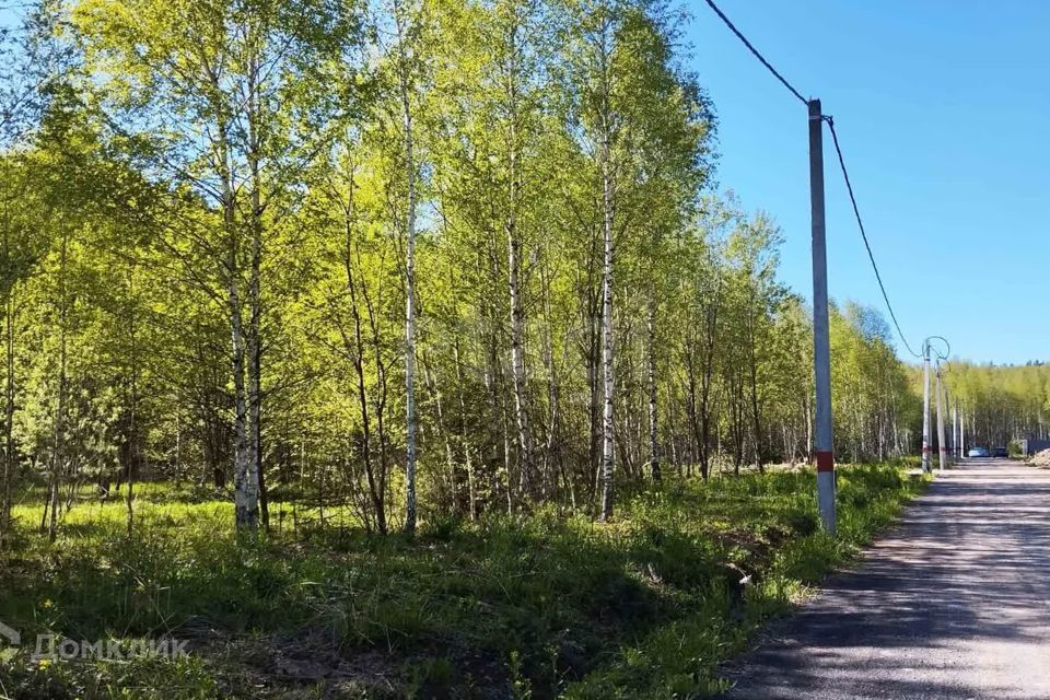 земля городской округ Одинцовский LapinO2 фото 8